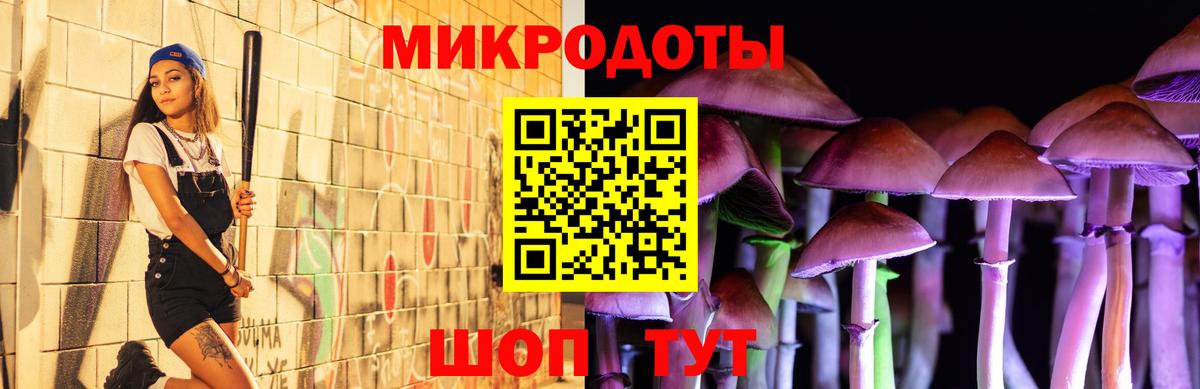 Галлюциногенные грибы Cubensis Дзержинск